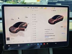 Tesla Model 3 Rear-Wheel Drive - ფოტო 12