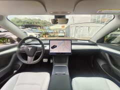 Tesla Model 3 Performance All-Wheel Drive - ფოტო 12