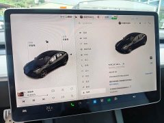 Tesla Model 3 Performance All-Wheel Drive - ფოტო 14