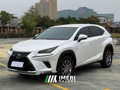 2021 Lexus NX 2020 200 FWD Sharp Edition National VI - ავტომობილი ჩინეთიდან