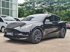 Tesla Model Y Long Range All-Wheel Drive - ფოტო 1