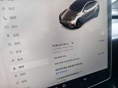 Tesla Model Y Long Range All-Wheel Drive - ფოტო 16