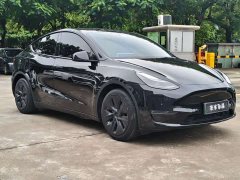 Tesla Model Y Long Range All-Wheel Drive - ფოტო 4