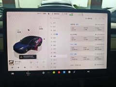 Tesla Model 3 2022 Rear-Wheel Drive - ფოტო 9