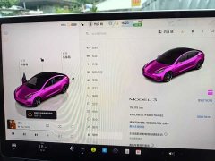 Tesla Model 3 2022 Rear-Wheel Drive - ფოტო 15