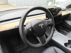 Tesla Model 3 Facelift Standard Range RWD Upgrade 3D1 - ფოტო 10