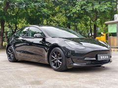 Tesla Model 3 Facelift Standard Range RWD Upgrade 3D1 - ფოტო 2