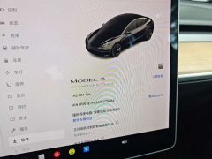 Tesla Model 3 Facelift Standard Range RWD Upgrade 3D1 - ფოტო 6