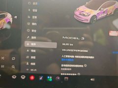 Tesla Model 3 2022 Rear-Wheel Drive - ფოტო 3