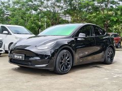 Tesla Model Y Rear-Wheel Drive - ფოტო 1