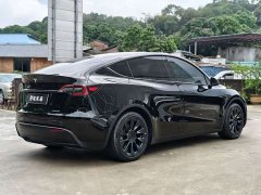 Tesla Model Y Rear-Wheel Drive - ფოტო 2
