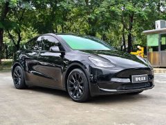 Tesla Model Y Rear-Wheel Drive - ფოტო 5