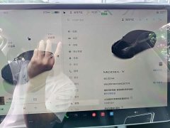 Tesla Model Y Rear-Wheel Drive - ფოტო 8