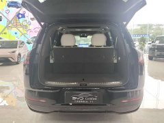 Denza BYD Denza N8L Flagship - ფოტო 16