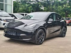 Tesla Model Y 2022 Facelift Rear-Wheel Drive - ფოტო 1