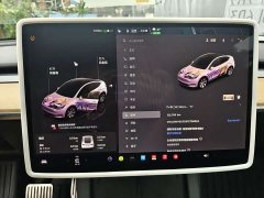 Tesla Model Y 2022 Facelift Rear-Wheel Drive - ფოტო 10