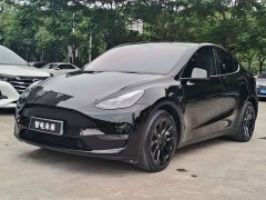 Tesla Model Y Long Range All-Wheel Drive - ფოტო 1