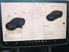 Tesla Model Y Long Range All-Wheel Drive - ფოტო 13