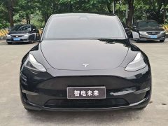 Tesla Model Y Long Range All-Wheel Drive - ფოტო 2