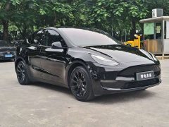 Tesla Model Y Long Range All-Wheel Drive - ფოტო 3