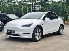 Tesla Model Y 2022 Long Range All-Wheel Drive - ფოტო 1
