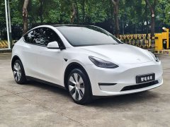 Tesla Model Y 2022 Long Range All-Wheel Drive - ფოტო 3