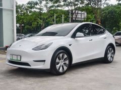 Tesla Model Y Rear-Wheel Drive - ფოტო 1