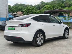 Tesla Model Y Rear-Wheel Drive - ფოტო 3