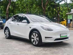 Tesla Model Y Rear-Wheel Drive - ფოტო 4
