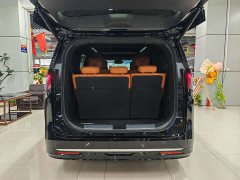 Buick Zhijing Shijia Luxury Edition - ფოტო 13