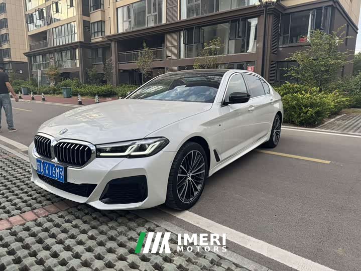 BMW 5 Series 530Li Premier M Sport Package - ავტომობილი ჩინეთიდან