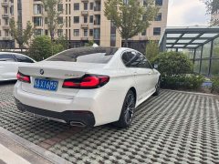 BMW 5 Series 530Li Premier M Sport Package - ფოტო 10