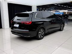 Volkswagen Viloran 380TSI Zunchi Edition - ფოტო 11
