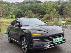 BYD Song Plus New Energy 2024 Glory Edition DM-i 150km Flagship Plus - ფოტო 3
