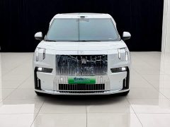 Zeekr Geely Geometry 009 Seven-Seat Ultra Home Edition - ფოტო 2
