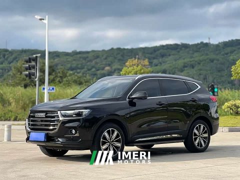 2022 Haval H6 2021 National Trend Edition 1.5L GDIT Automatic Ultra-Luxury - ავტომობილი ჩინეთიდან