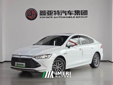 2024 BYD Qin PLUS 2023 Champion Edition DM-i 120KM Leading - ავტომობილი ჩინეთიდან