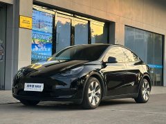 Tesla Model Y Long Range All-Wheel Drive 3D7 - ფოტო 1