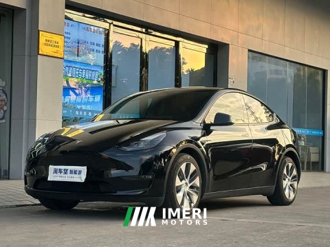 2021 Tesla Model Y Long Range All-Wheel Drive 3D7 - ავტომობილი ჩინეთიდან