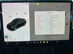 Tesla Model Y Long Range All-Wheel Drive 3D7 - ფოტო 10