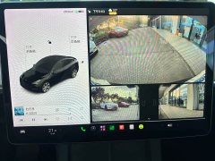 Tesla Model Y Long Range All-Wheel Drive 3D7 - ფოტო 11