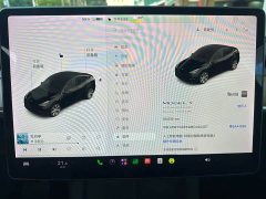 Tesla Model Y Long Range All-Wheel Drive 3D7 - ფოტო 12
