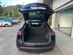 Tesla Model Y Long Range All-Wheel Drive 3D7 - ფოტო 16