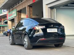 Tesla Model Y Long Range All-Wheel Drive 3D7 - ფოტო 3