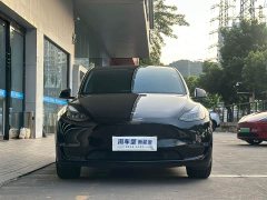 Tesla Model Y Long Range All-Wheel Drive 3D7 - ფოტო 4