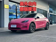 Tesla Model Y Rear-Wheel Drive - ფოტო 1