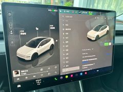 Tesla Model Y Rear-Wheel Drive - ფოტო 15