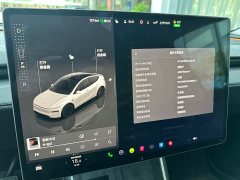 Tesla Model Y Rear-Wheel Drive - ფოტო 16