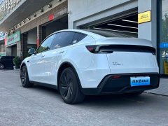 Tesla Model Y Rear-Wheel Drive - ფოტო 3
