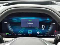 Mercedes-Benz Sharp SharpL 2.0T EcoBoost E Hybrid AWD Seven-Seat Flagship - ფოტო 15